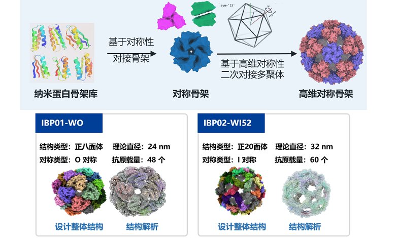 国家自然科学奖 一等奖